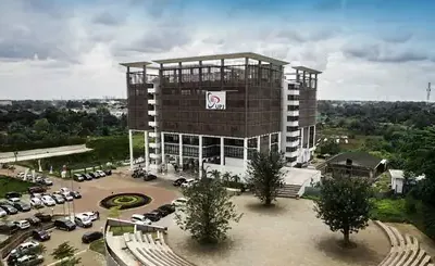 Sekolah & Universitas